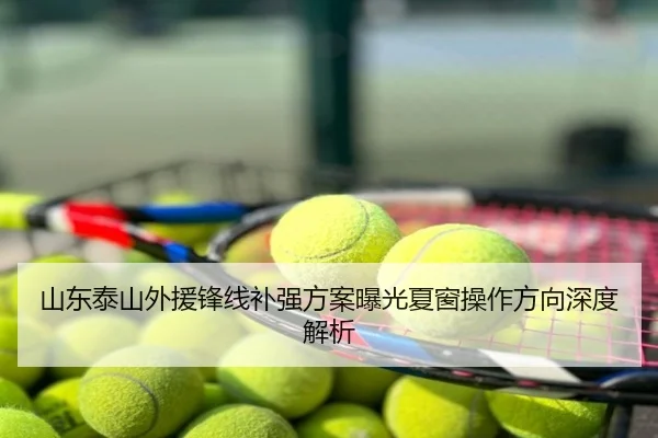 山东泰山外援锋线补强方案曝光夏窗操作方向深度解析