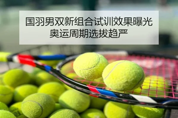 国羽男双新组合试训效果曝光 奥运周期选拔趋严